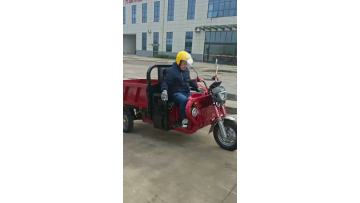 Three-wheeled electric vehicle reversing stability test