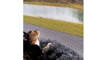 Cat Netting