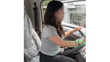 Farizon Starwise H8E Light Truck