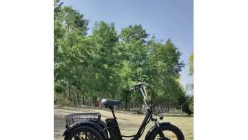 S2 Fat Tire Electric Tricycle