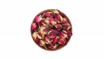 Chinese Rose