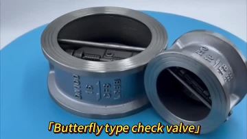Butterfly Type Check Valve