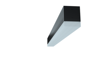 P linear light