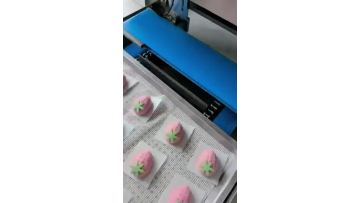 Cartoon Shaped Bun Molding Machine