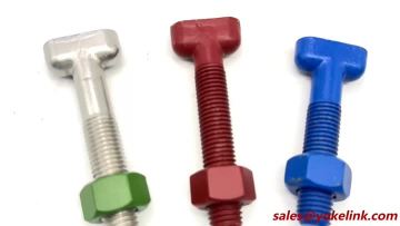 304 316 Stainless Steel Waterwork T Hed Bolt and Nut Mechanical Joint T-Head Bolt