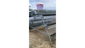 Haiao trade assurance high security poultry cages chicken layer cage in india1