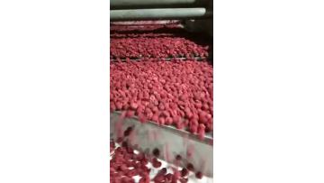 IQF raspberry fluidized tunnel freezer outfeed part