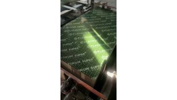 green PP plywood (1)