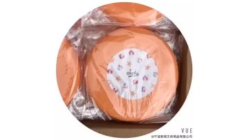 Wholesale Advertising Ultimate flying disc sports goods1