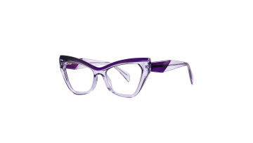 Colorblocked TR Optical Frame