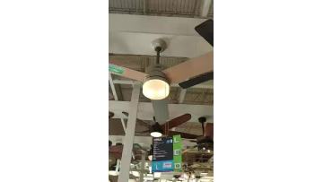 Ceiling Fan