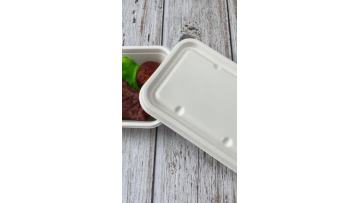 sugarcane bagasse 550ml container