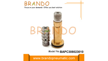 BAPC308023010