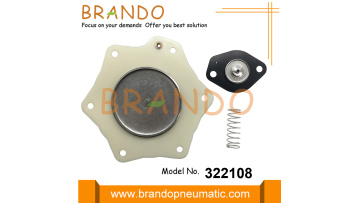 322108 Diaphragm