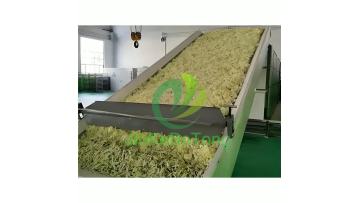 Mesh Belt Dryer_Video_002