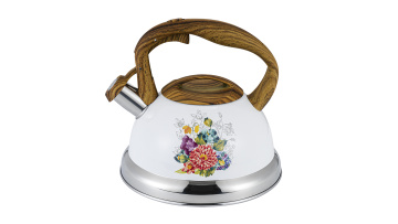 2.8L Stainless steel household kettle FH-693