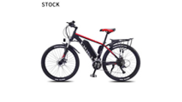 TDT011Z E-Fat 1000W Electric Bicycle - Europe E-Bike for Delivery N Frame with Hidden Battery1