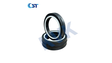 SEG Rod Seal