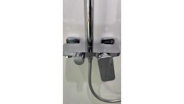 3 Function Shower System