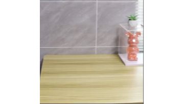 Acrylic Figure Display Case