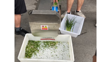 st-q306 Green Onion Cutting Machine