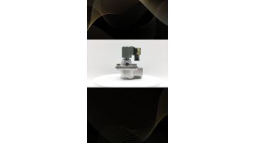 1 Inch Goyen Type Pulse Valve CA25T010-305 24VDC