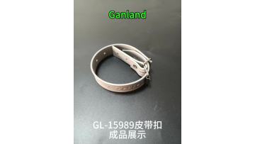 GL-15989 PVC Coated Webbing Adjustable Cargo Strap