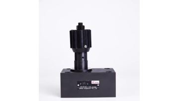 DVP20 throttle valve