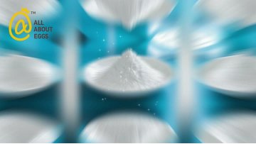 Egg White Powder For Cooking