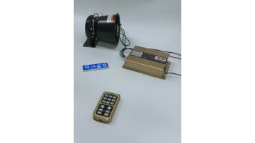 Wireless 2-Way Car Alarm with 400W Peak