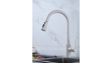 Stainless Steel Beige Kitchen Faucet