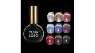 Professional Bungee Drill Cat's Eye Gel Polish - High-Quality Nail Suppliers1