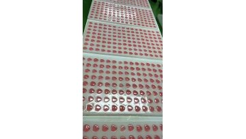 Ashwagandha L-Theanine ksm-66 gummies