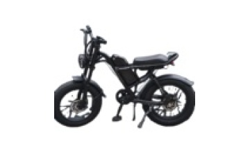 Electric Mountain Bikes