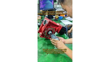 dc servo motor with reducer
