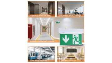 C01 emergency exit sign