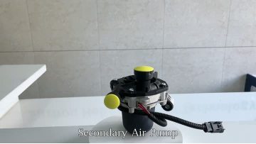 BJ-9342 Secondary Air Pump