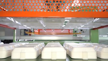 small disposable foam plate making machine price in Pakistan , Ellie's Whats 0086137809127691