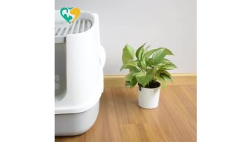 cat litter box