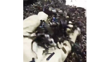 Steel Shavings Shredder