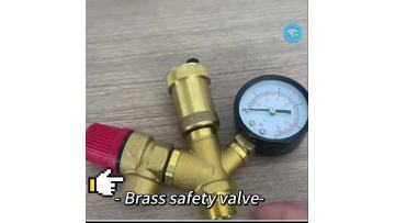 Brass Safety Valve
