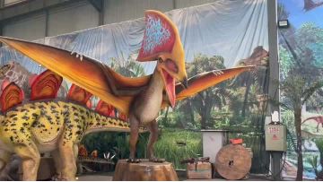 Pterosaur 001