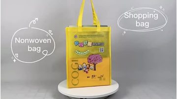 Non Woven Shopping Bag