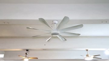 60 Inch Large Modern Ceiling Fan with Light
