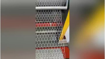 Rabbit / Chicken Cage PVC Coated hexagonal hole Welded Wire Mesh1