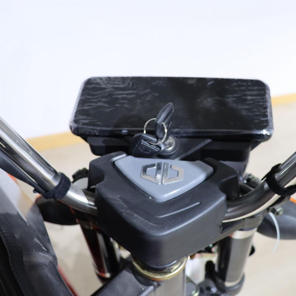 Three Wheel motorcycle Cargo