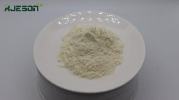 Colostrum Bovine freeze-dried