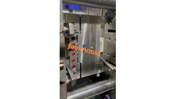 Injection Mold Injection Molding Product Demonstration3