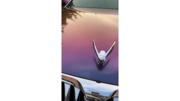 Purple Mecha Chameleon Car Wrap