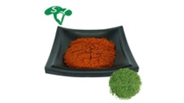 Custom OEM Gypenoside Extracts: Tailored Gynostemma Plant Powder Solutions1